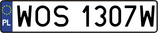 WOS1307W