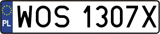 WOS1307X