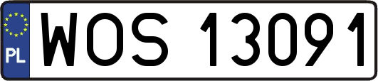 WOS13091