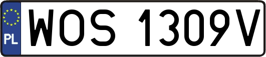 WOS1309V