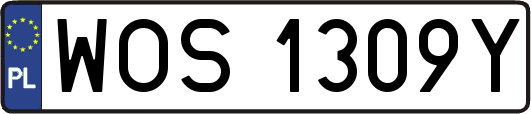 WOS1309Y