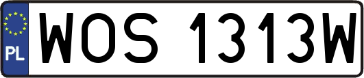 WOS1313W