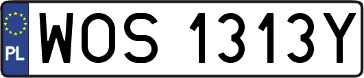 WOS1313Y