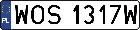 WOS1317W