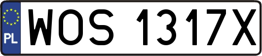 WOS1317X
