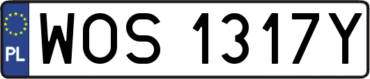 WOS1317Y