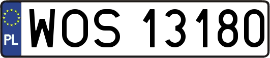 WOS13180