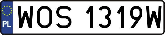 WOS1319W