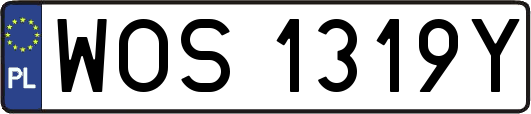 WOS1319Y