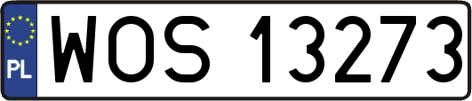 WOS13273
