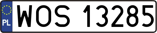 WOS13285