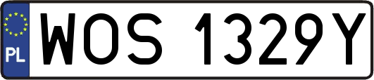 WOS1329Y