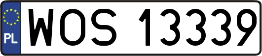 WOS13339