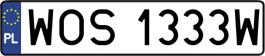 WOS1333W