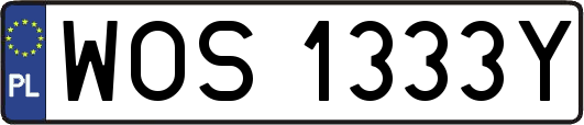 WOS1333Y