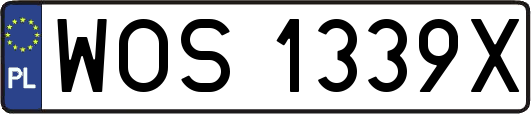 WOS1339X