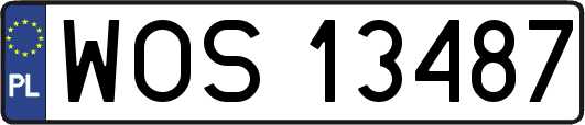 WOS13487