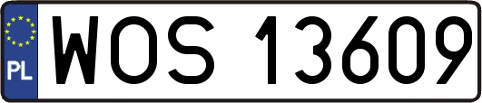 WOS13609