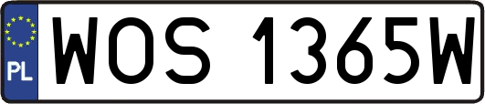 WOS1365W