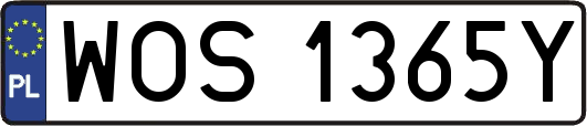 WOS1365Y