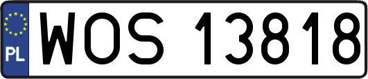 WOS13818