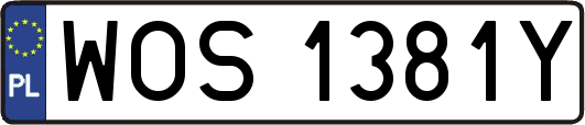 WOS1381Y