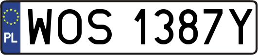 WOS1387Y