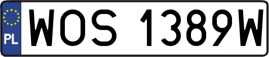 WOS1389W