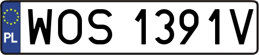 WOS1391V