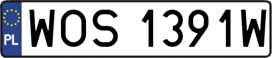 WOS1391W