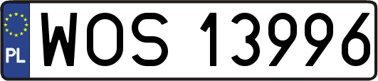 WOS13996