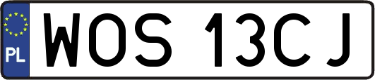 WOS13CJ