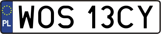 WOS13CY