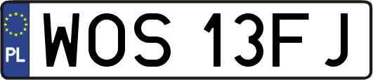 WOS13FJ