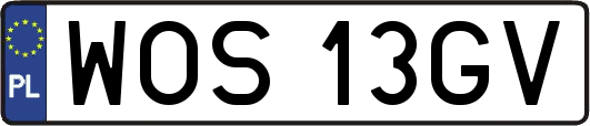 WOS13GV