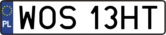 WOS13HT