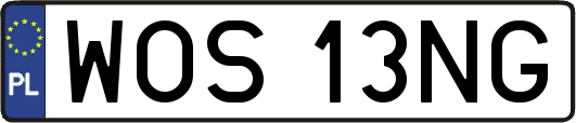 WOS13NG