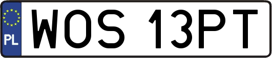 WOS13PT