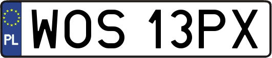 WOS13PX