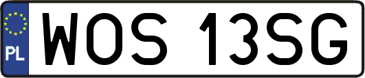 WOS13SG