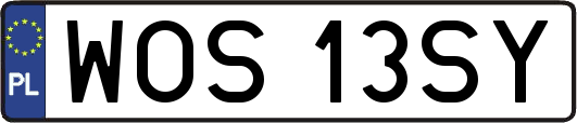 WOS13SY