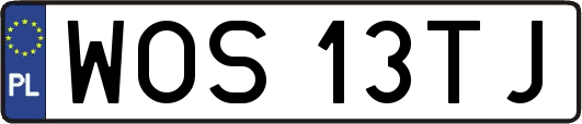 WOS13TJ
