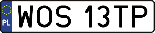 WOS13TP