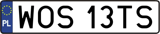 WOS13TS