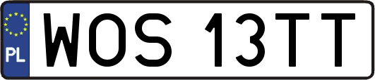 WOS13TT