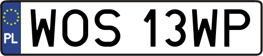WOS13WP
