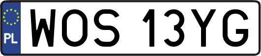 WOS13YG