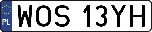 WOS13YH