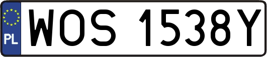 WOS1538Y