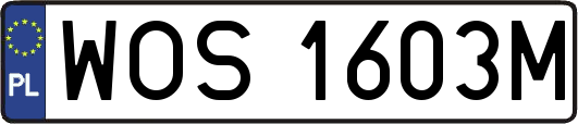 WOS1603M